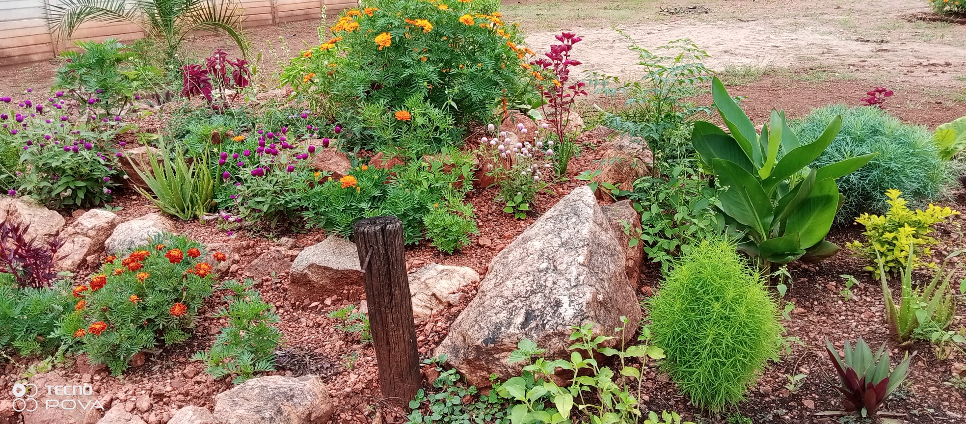Khaya garden