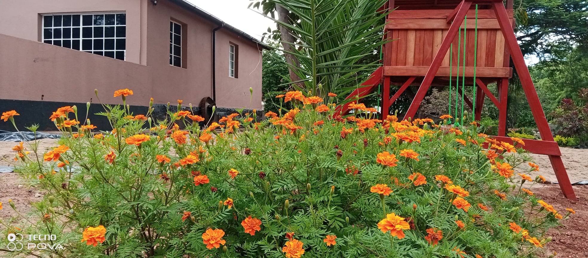 School garden