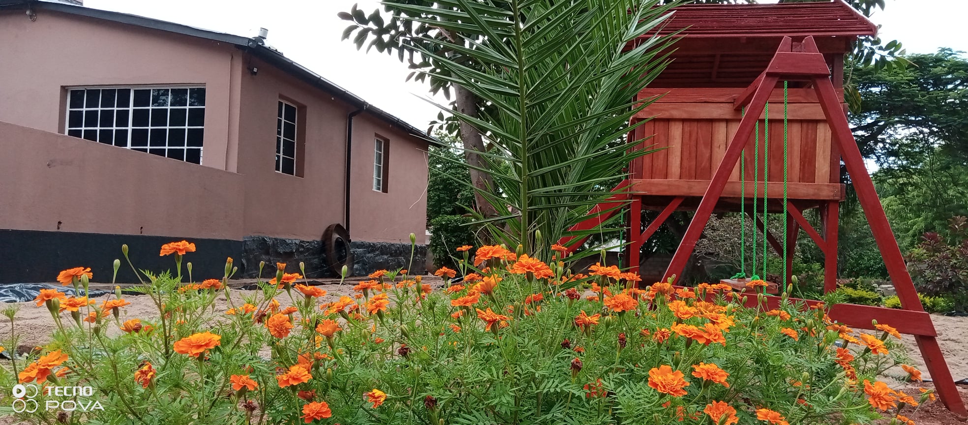 Marigolds and playground